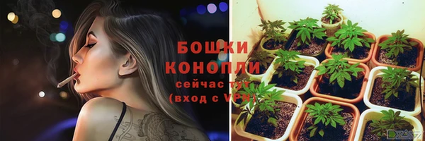 прущие крисы Верея