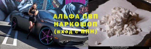 прущие крисы Верея