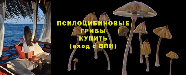 тгк Верхний Тагил