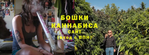 прущие крисы Верея