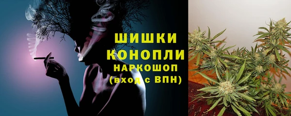 прущие крисы Верея